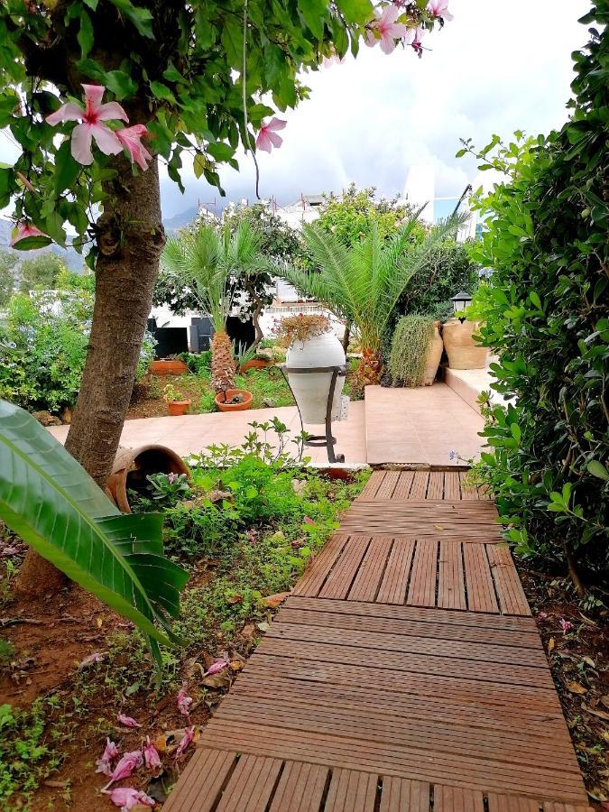 Alba Chiara B&B San Vito Lo Capo Dış mekan fotoğraf