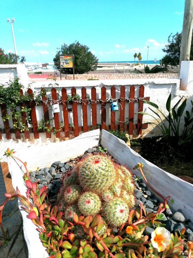 Alba Chiara B&B San Vito Lo Capo Dış mekan fotoğraf